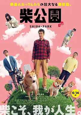 快播看片